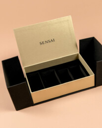 Intermondial Plus Packaging